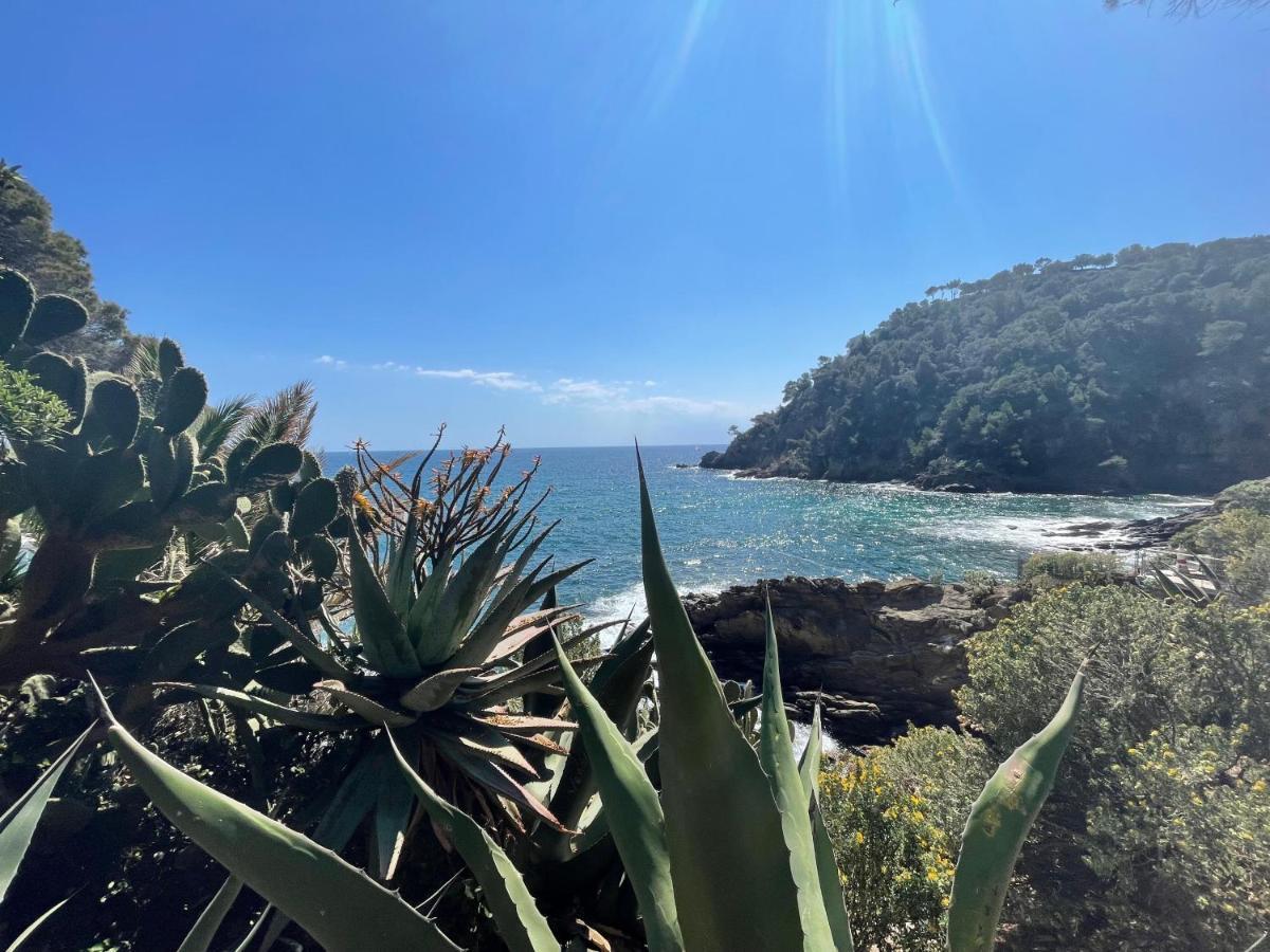 La Villa Cavalaire Екстериор снимка